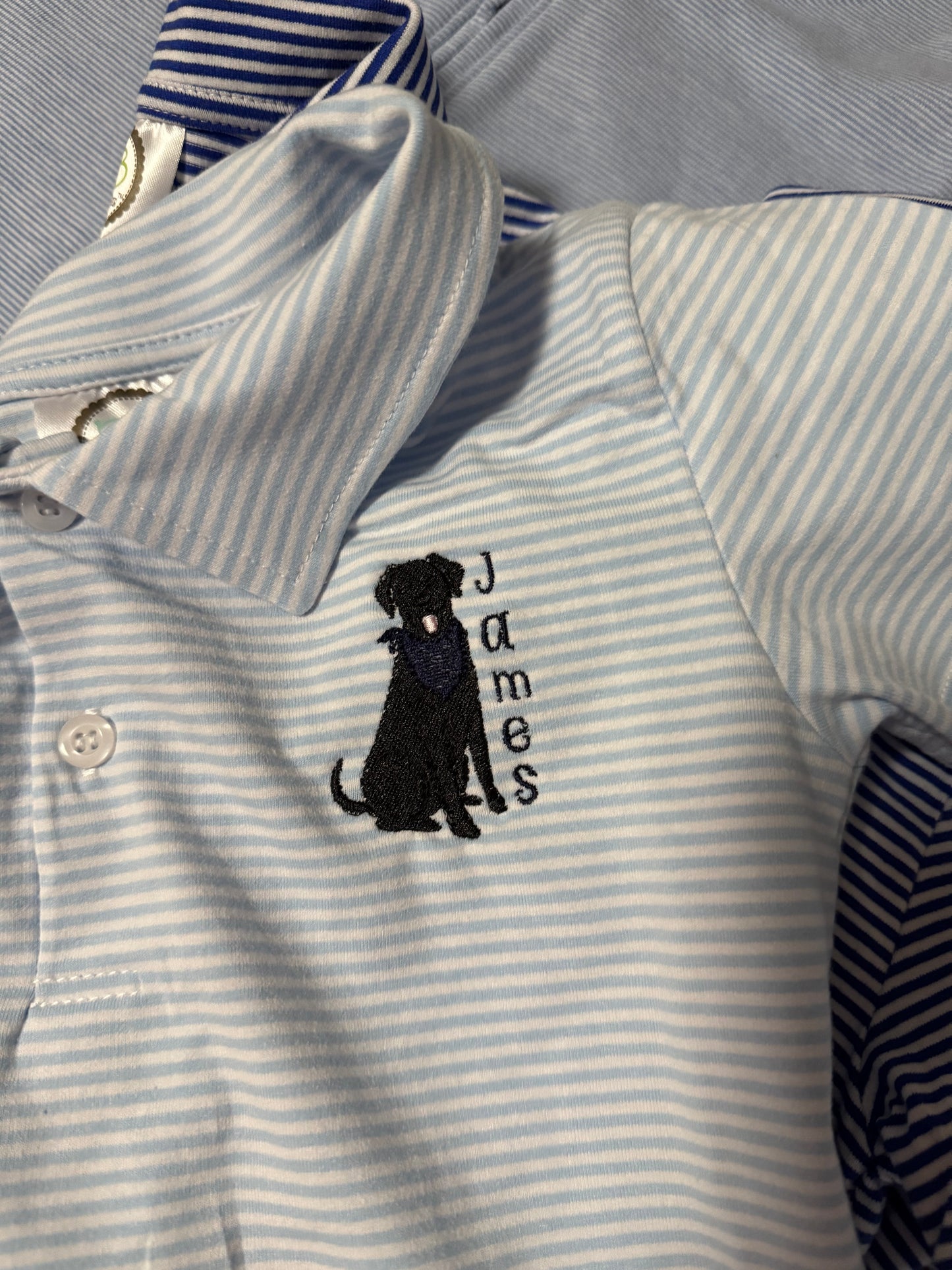 The Caleb Boys Polo Shirt