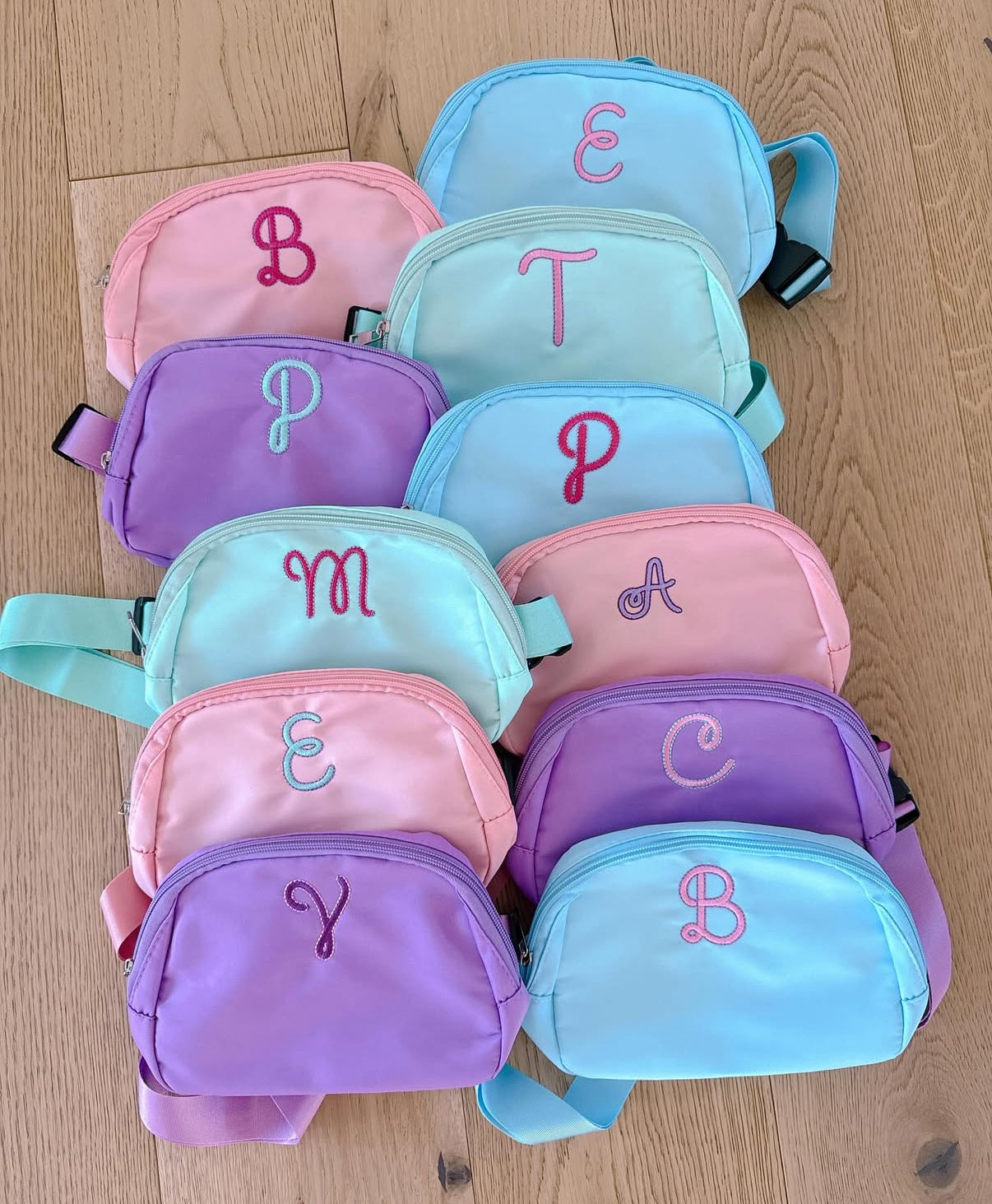 Nylon Belt Bags